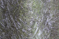 Findochty fibreglass roof work